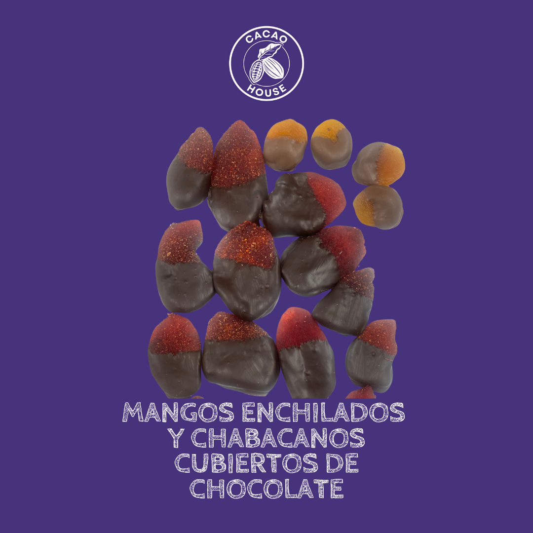 Curso Bomboneria y Dipping en Thermomix