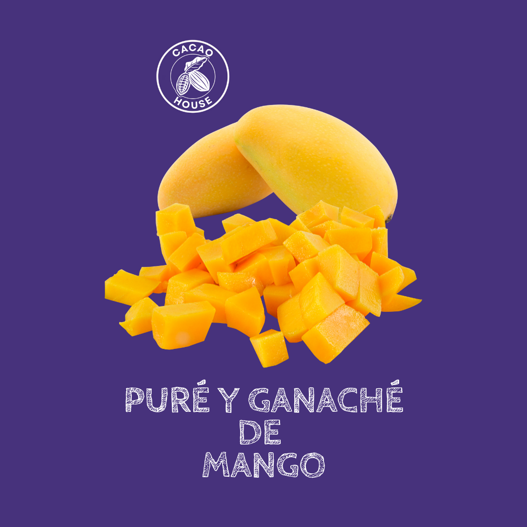 Curso Bomboneria y Dipping en Thermomix