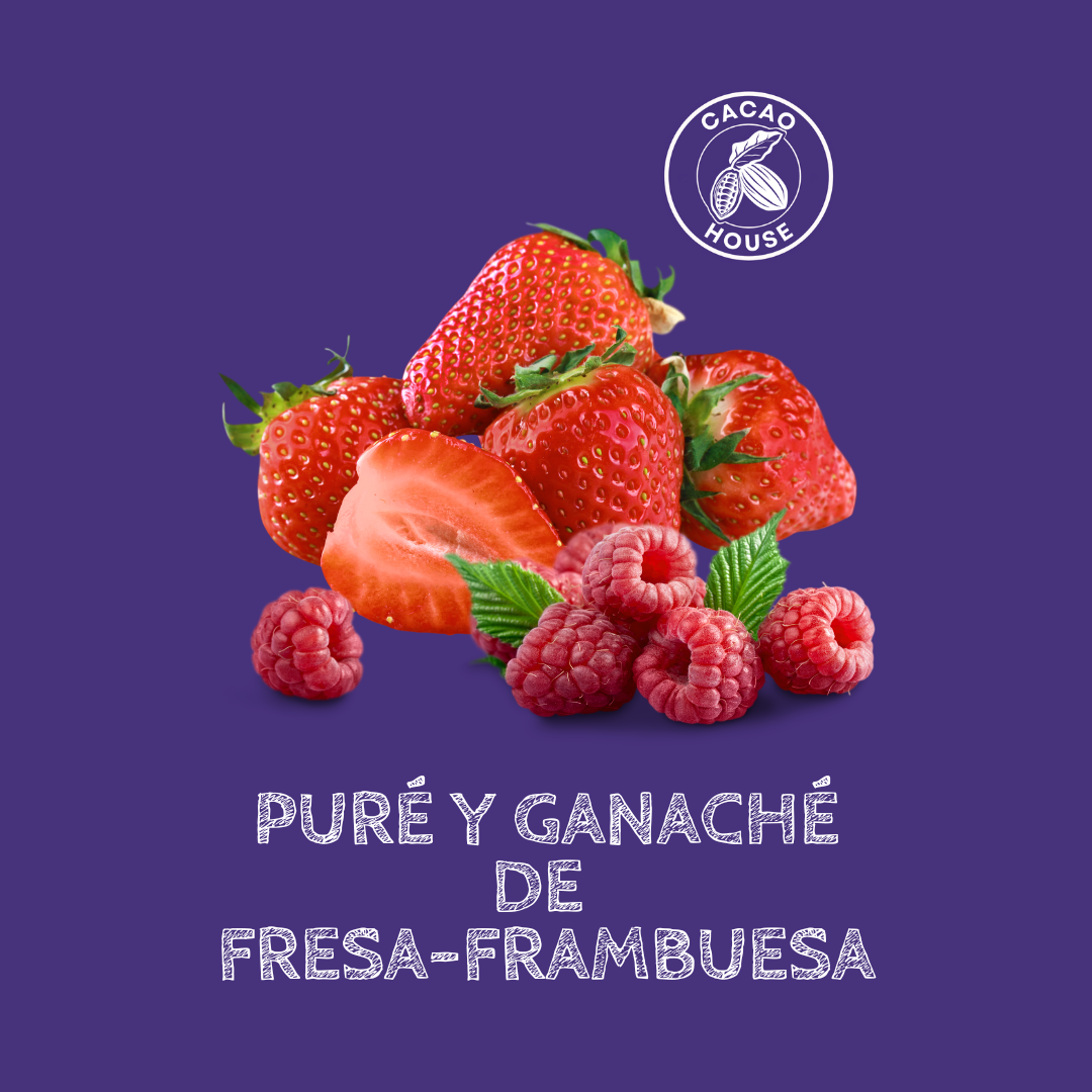 Curso Bomboneria y Dipping en Thermomix