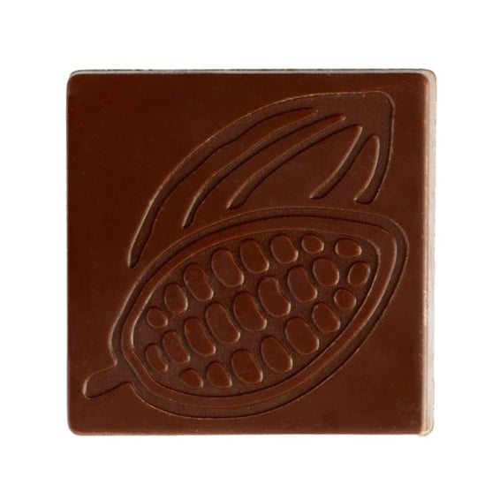 moldes de chocolate forma de cacao