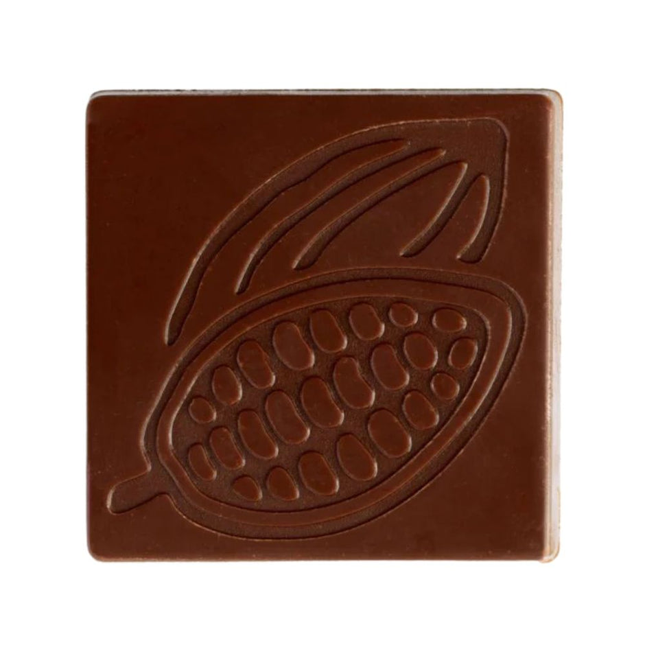 moldes de chocolate forma de cacao