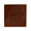 moldes de chocolate forma de cacao