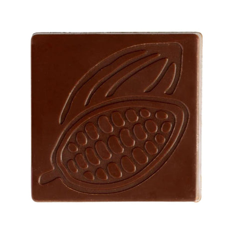 moldes de chocolate forma de cacao